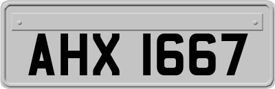 AHX1667