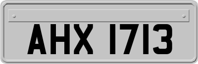 AHX1713