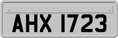 AHX1723