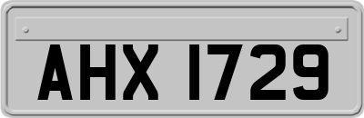 AHX1729