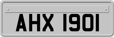 AHX1901