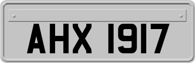AHX1917