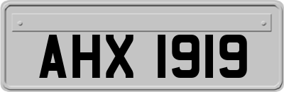 AHX1919