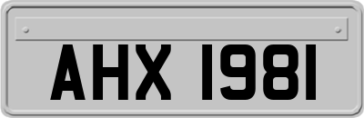 AHX1981