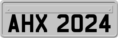 AHX2024