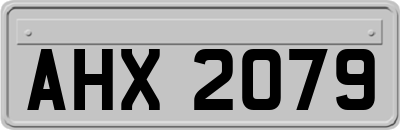 AHX2079