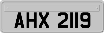AHX2119