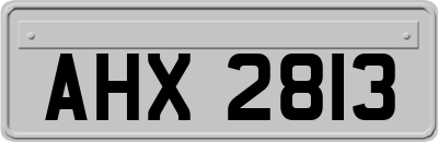 AHX2813