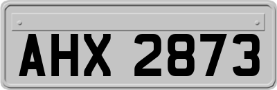 AHX2873
