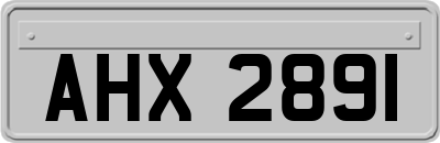 AHX2891