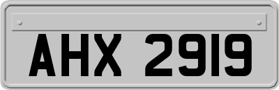 AHX2919