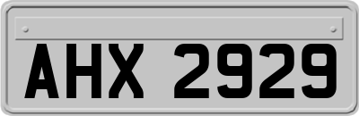 AHX2929