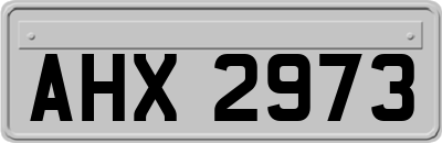 AHX2973