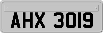 AHX3019
