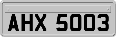 AHX5003
