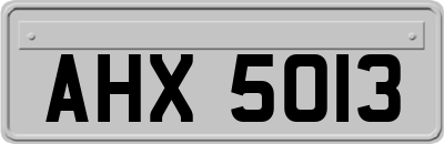 AHX5013
