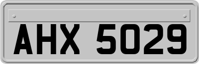 AHX5029
