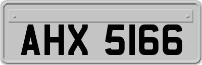 AHX5166