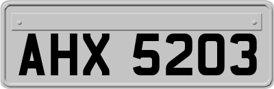AHX5203