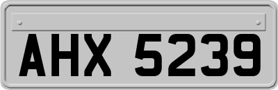 AHX5239