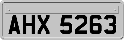 AHX5263