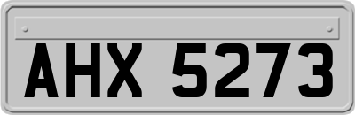 AHX5273