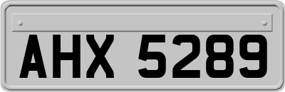 AHX5289