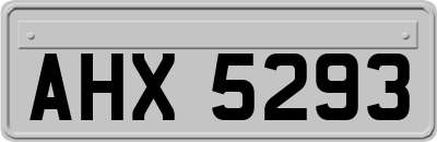 AHX5293