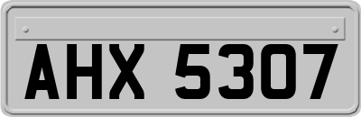 AHX5307