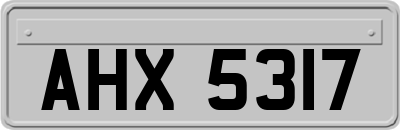 AHX5317