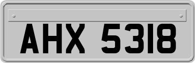 AHX5318