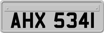 AHX5341