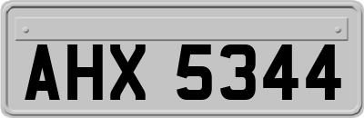 AHX5344