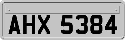 AHX5384
