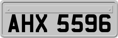 AHX5596