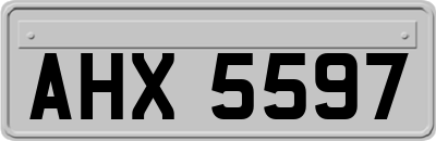 AHX5597