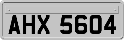 AHX5604