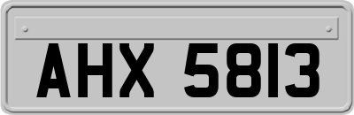AHX5813