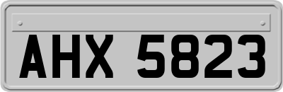 AHX5823