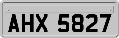 AHX5827