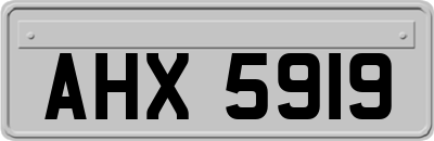 AHX5919