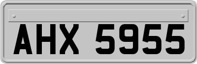 AHX5955
