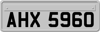 AHX5960