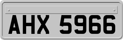 AHX5966