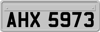 AHX5973
