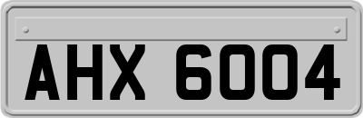 AHX6004