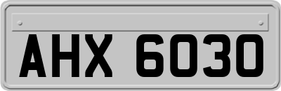 AHX6030