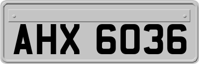 AHX6036