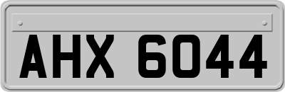 AHX6044