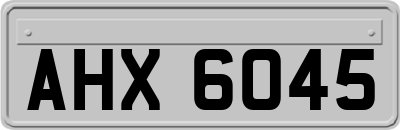 AHX6045
